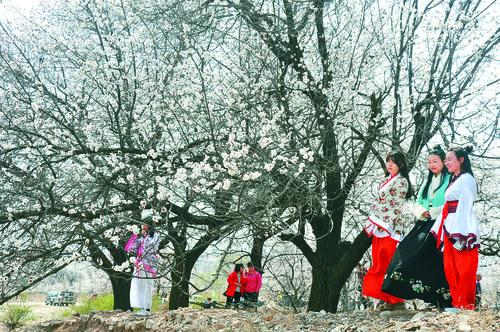 NBA直播精彩画面